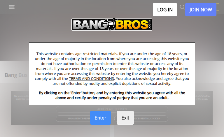 BangBus Review: Inside BangBros Most Iconic Reality Porn Series