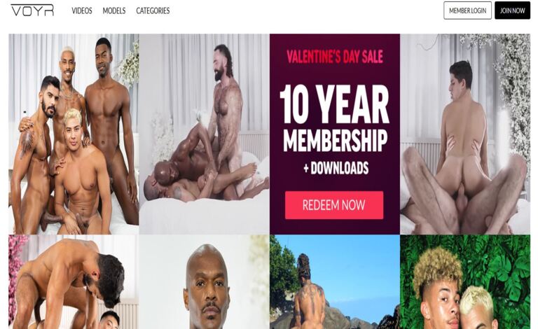 Voyr: Explore Premium Gay Adult Entertainment with Diverse Models
