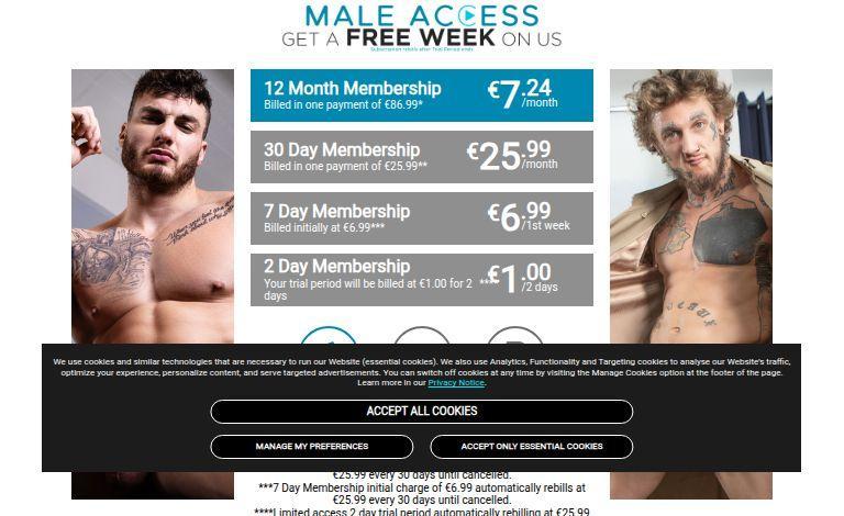 Maleaccess Review: The Ultimate Gay Porn Network with 6 Premium Sites