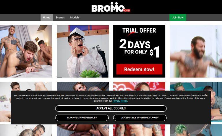 Bromo Porn Review: Exclusive Bareback Scenes & Top Performers